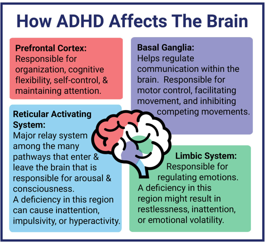 ADHD & Autism Testing | Dr. Blied | Faces Of Health App | ADHD, Autism ...