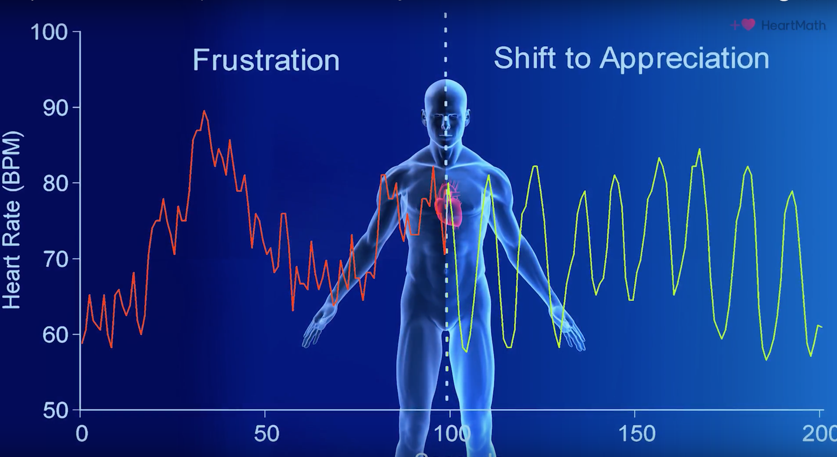 Biofeedback equipment measuring physiological activity and providing real-time feedback
